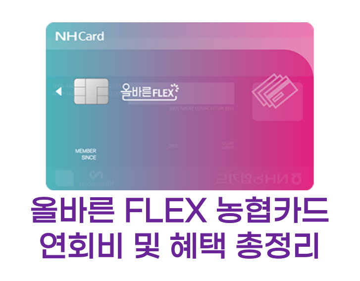 올바른 FLEX 카드 썸네일